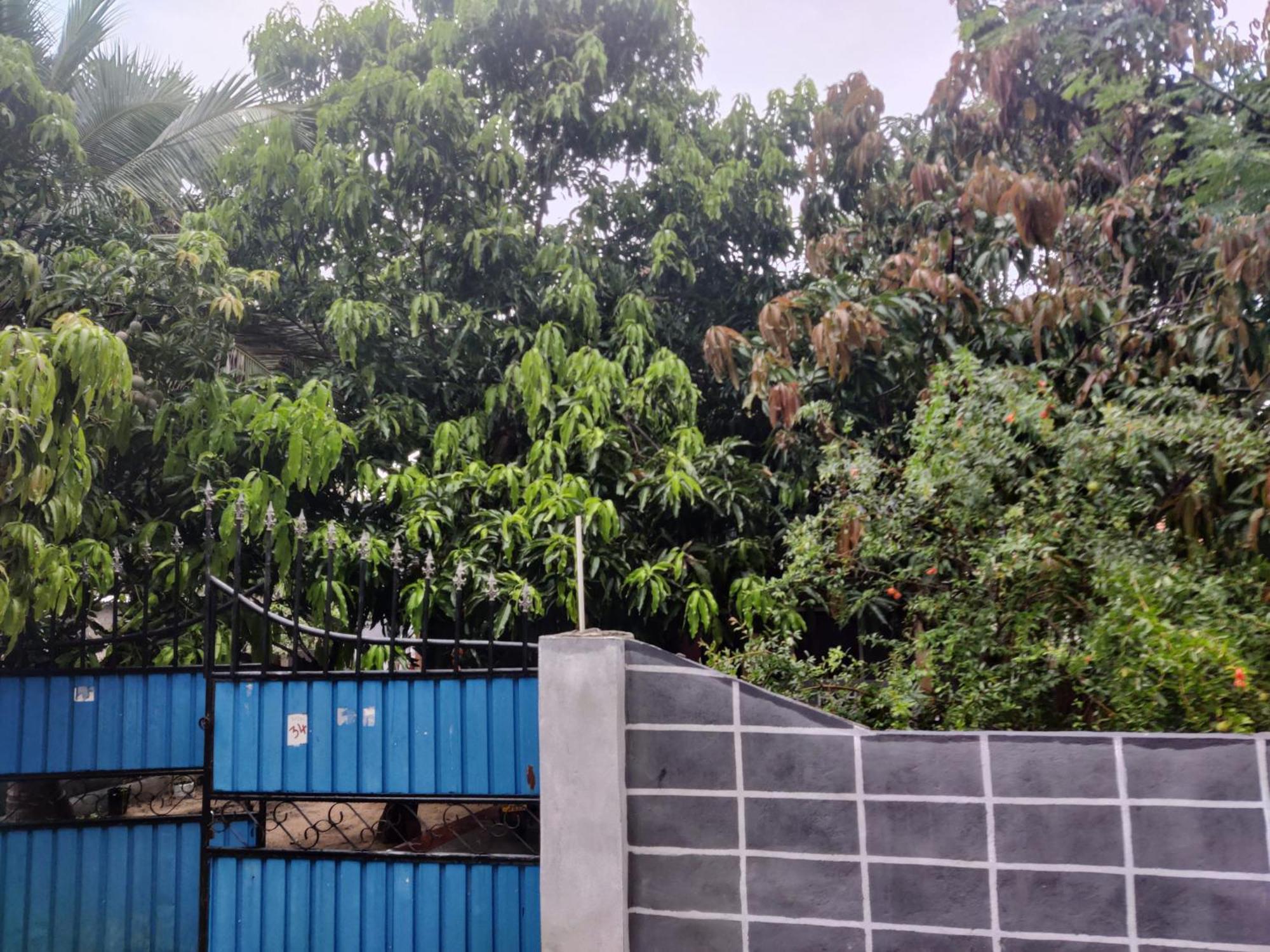 Enoch Guest House Mannar Bagian luar foto