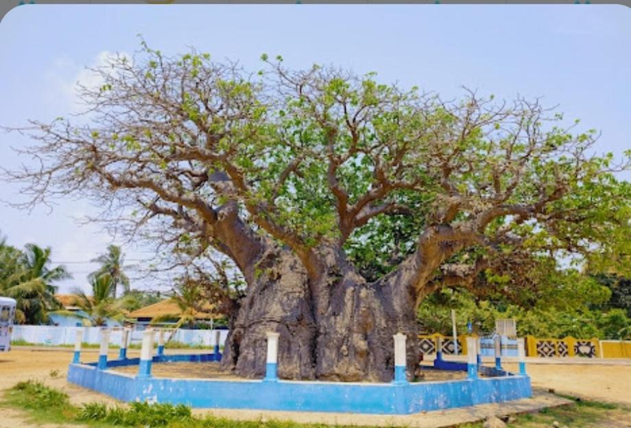Enoch Guest House Mannar Bagian luar foto