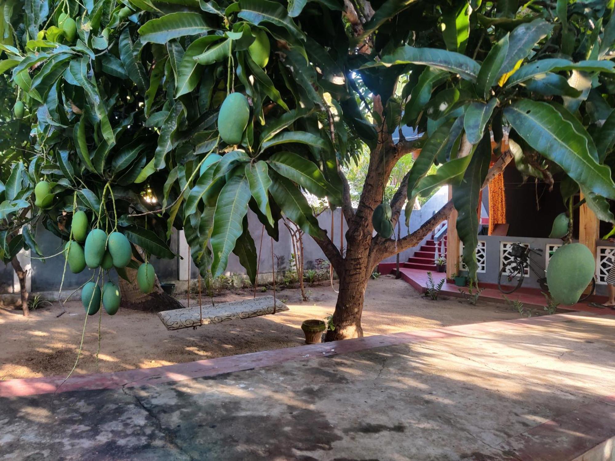 Enoch Guest House Mannar Bagian luar foto