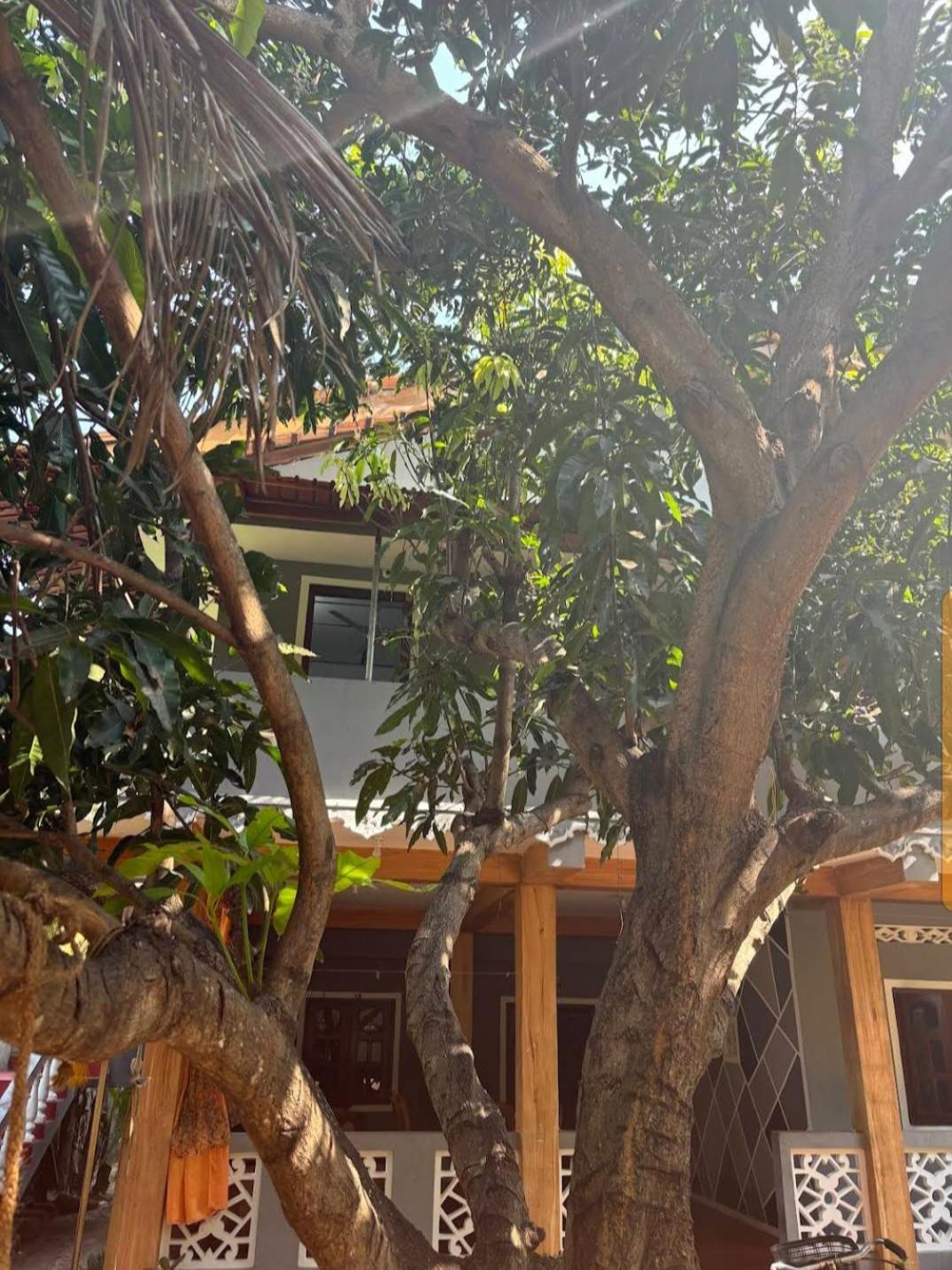 Enoch Guest House Mannar Bagian luar foto