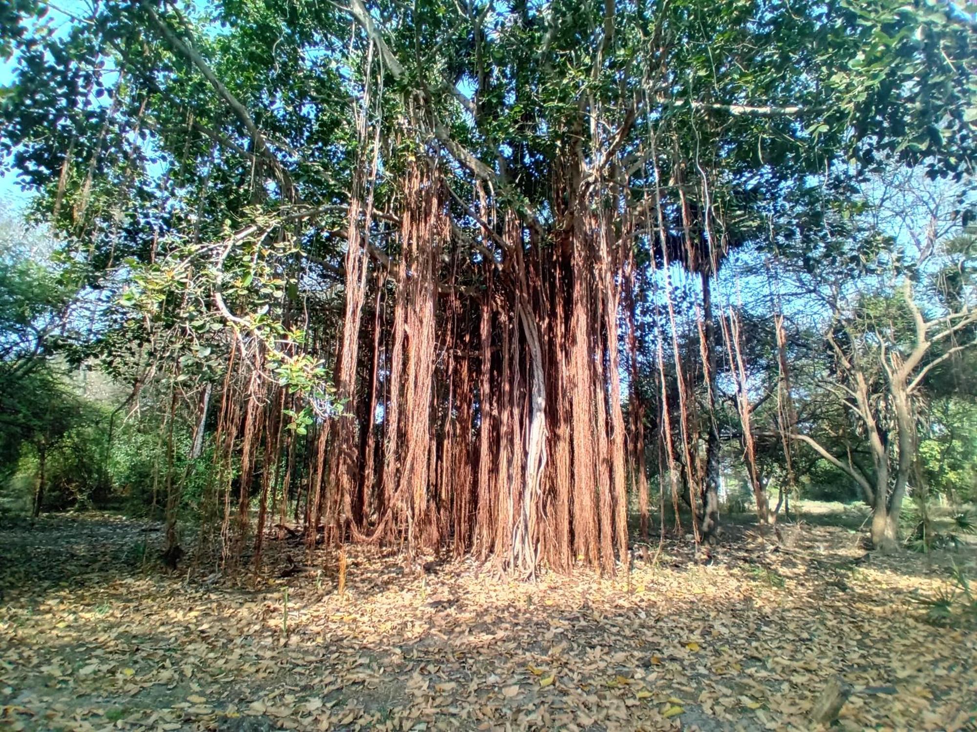 Enoch Guest House Mannar Bagian luar foto